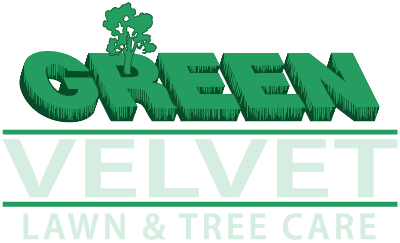 Green Velvet Lawn & Tree Care Ltd.